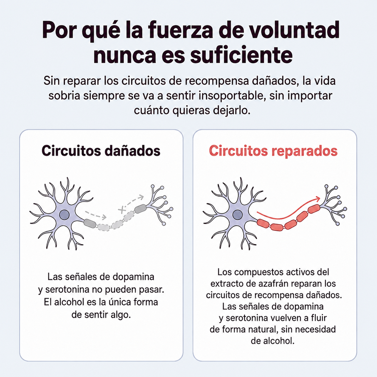 ZAFRA LABS®  | Recupera tu estabilidad y alivia el estrés