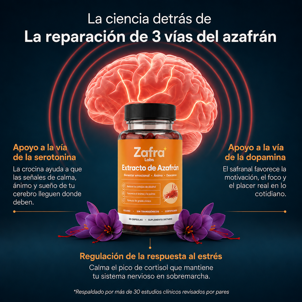 Llegá a la noche sin necesitar la copa | Extracto de Azafrán Estandarizado
